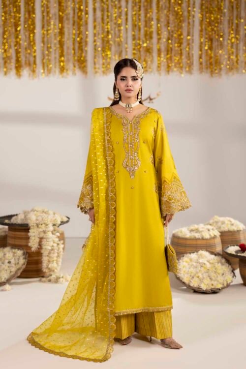 Dhaani Zardozi 3-Piece (ZR-2605)