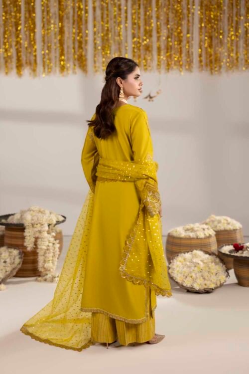 Dhaani Zardozi 3-Piece (ZR-2605)