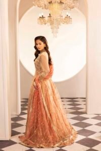 Ombre Peach Zardozi 3-Piece (ZR-2588)