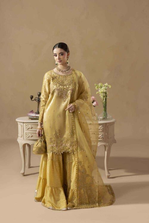 Safroon Zardozi 3-Piece (ZR-2645)