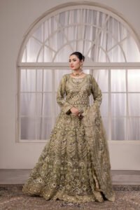 Dilruba Breeza Net Lehenga Choli 3-Piece (NT-1322)