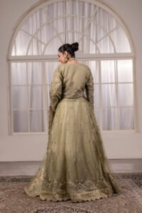 Dilruba Breeza Net Lehenga Choli 3-Piece (NT-1322) - Image 3