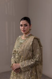 Dilruba Breeza Net Lehenga Choli 3-Piece (NT-1322) - Image 4