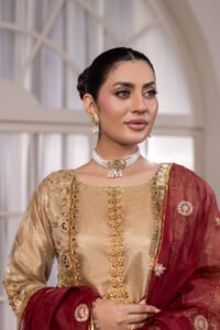 Antique Gold Zari Net Sharara 3-Piece (ZN-1306) - Image 3