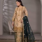 Regal Noor Zari Net Sharara 3-Piece (ZN-1306-B)