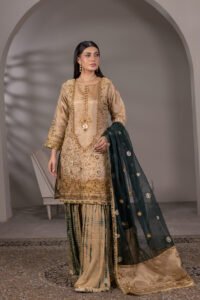 Regal Noor Zari Net Sharara 3-Piece (ZN-1306-B) - Image 5