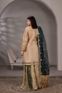 Regal Noor Zari Net Sharara 3-Piece (ZN-1306-B) - Image 6